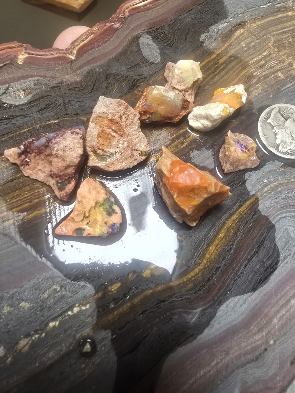 Natural Mexican Opal Rough Lot Jalisco High fire opals 76.75 Carats